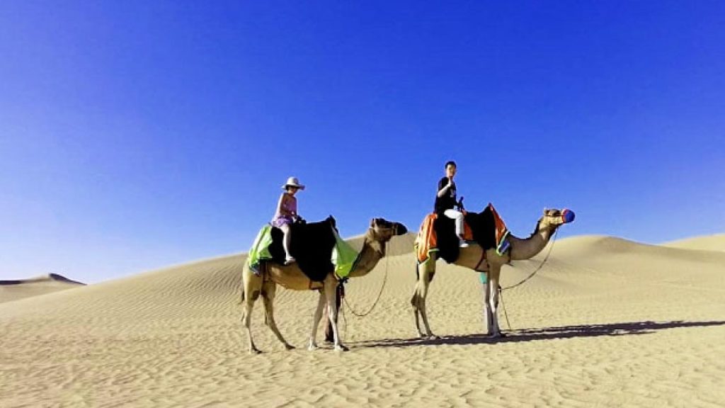 camel-safari-in-dubai-dunebuggydubai